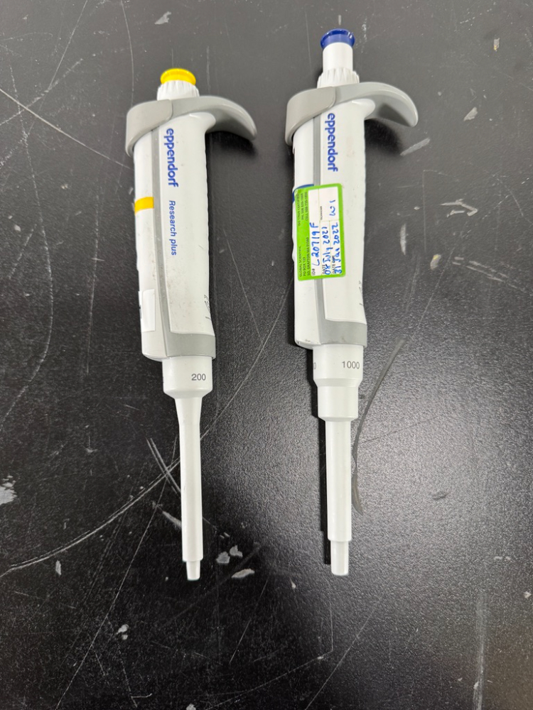 Image of Eppendorf Research Plus Single Channel Pipettes - Quantity 2